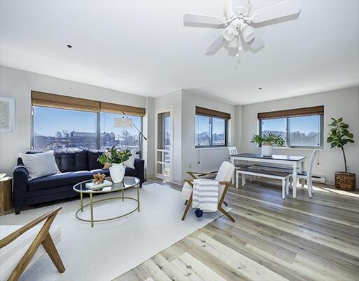 living area with ceiling fan and wood finished floors