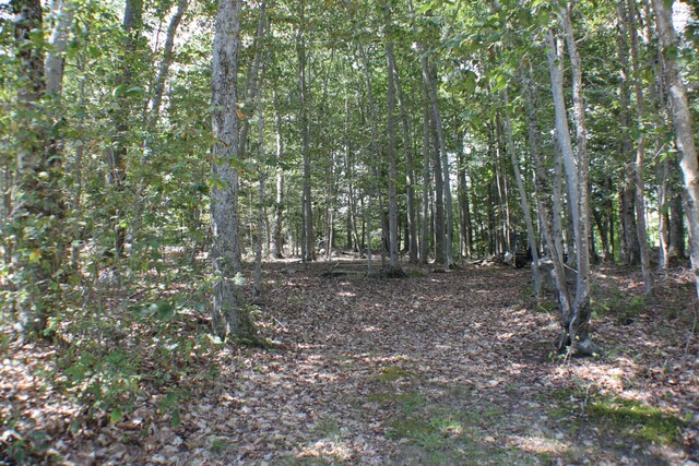17 Emerald Point Dr, Frye Island, ME 04071