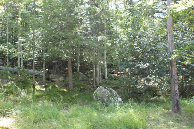 17 Emerald Point Dr, Frye Island, ME 04071