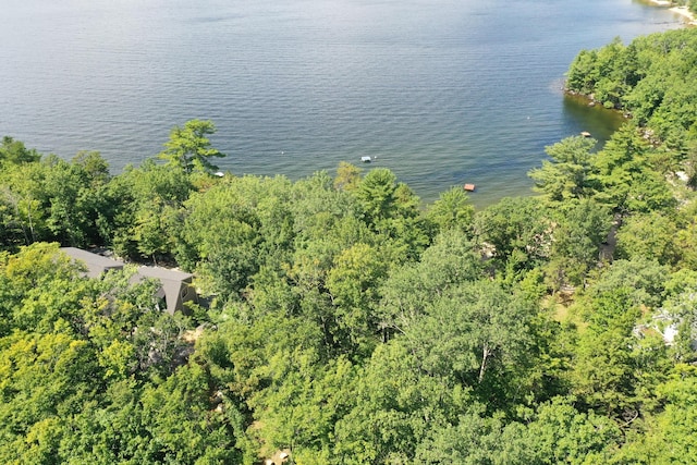 17 Emerald Point Dr, Frye Island, ME 04071