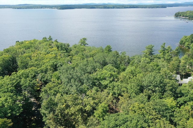 17 Emerald Point Dr, Frye Island, ME 04071
