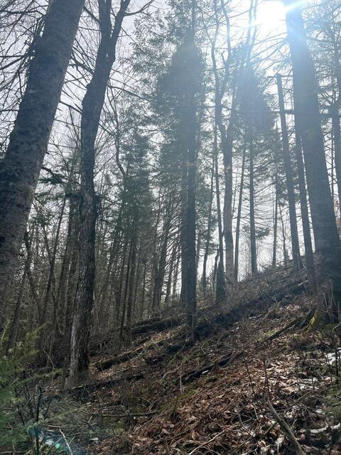 LOT2 Back Ridge Rd, Houlton, ME 04730