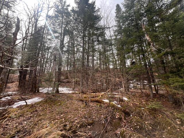 LOT2 Back Ridge Rd, Houlton, ME 04730