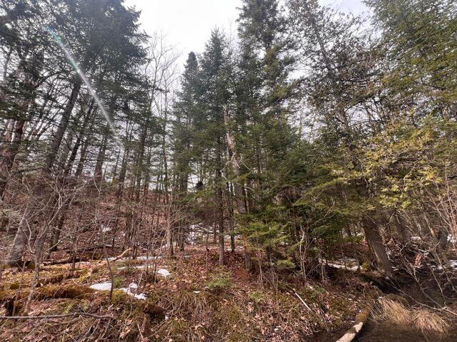 LOT2 Back Ridge Rd, Houlton, ME 04730