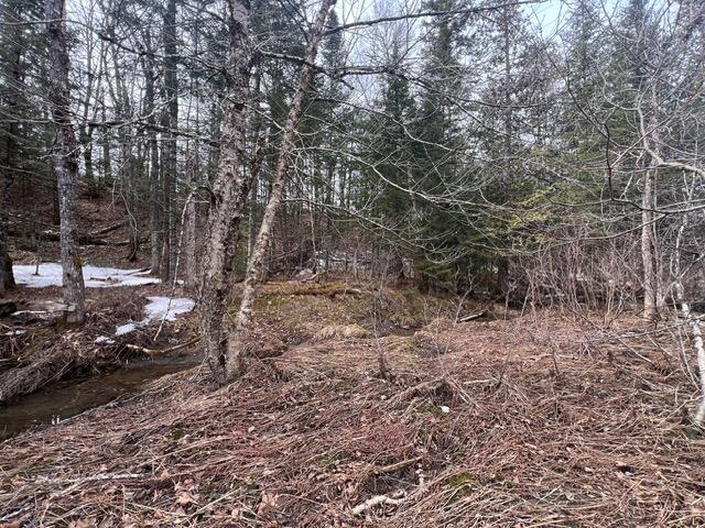 LOT2 Back Ridge Rd, Houlton, ME 04730