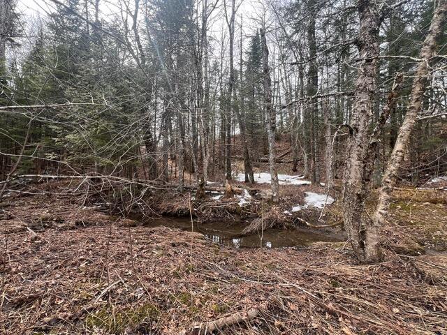 LOT2 Back Ridge Rd, Houlton, ME 04730