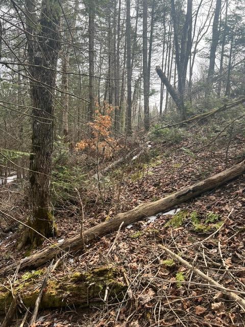 LOT2 Back Ridge Rd, Houlton, ME 04730