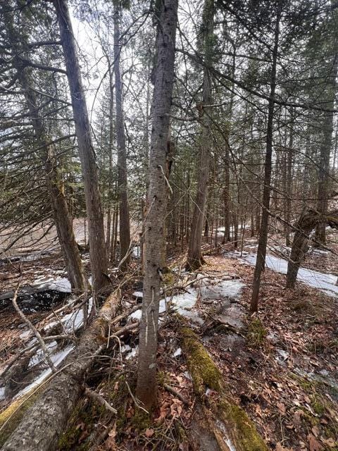 LOT2 Back Ridge Rd, Houlton, ME 04730