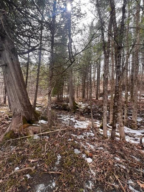 LOT2 Back Ridge Rd, Houlton, ME 04730