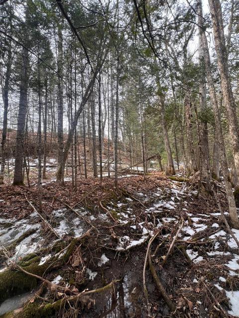 LOT2 Back Ridge Rd, Houlton, ME 04730