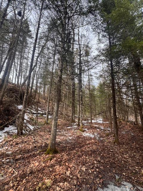 LOT2 Back Ridge Rd, Houlton, ME 04730