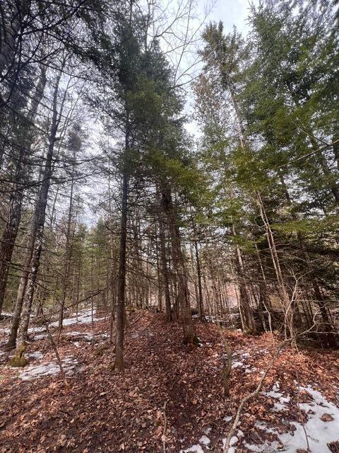 LOT2 Back Ridge Rd, Houlton, ME 04730