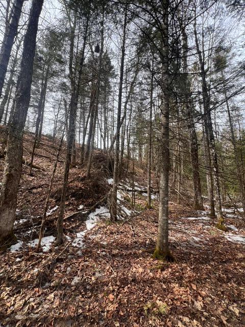 LOT2 Back Ridge Rd, Houlton, ME 04730