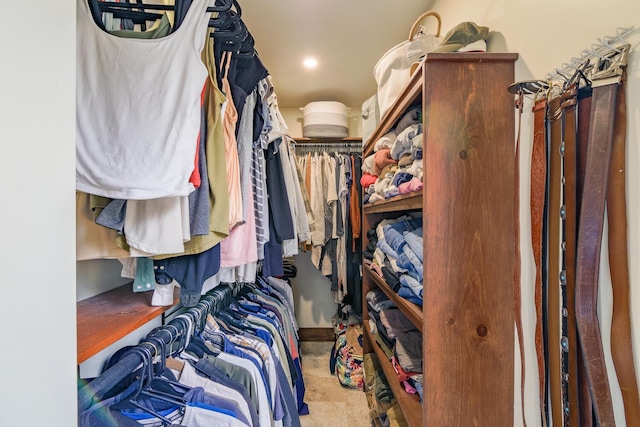 view of walk in closet