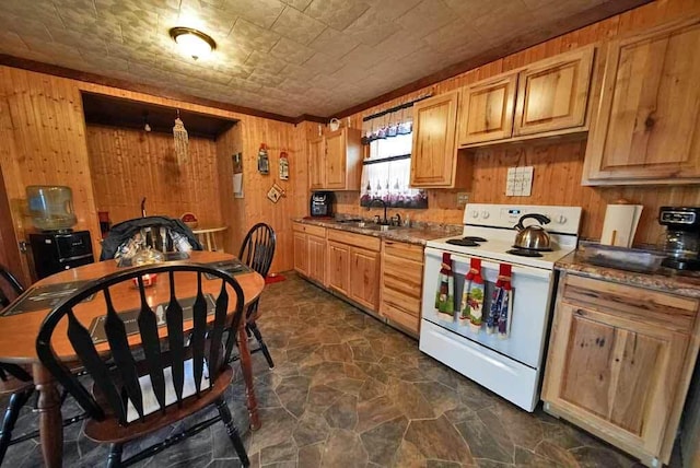 kitchen with white electric range oven, a sink, wood walls, and stone finish floor