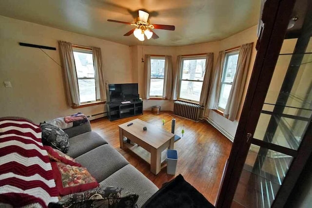 living area with a baseboard radiator, radiator, ceiling fan, and wood finished floors