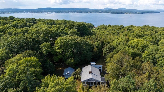 birds eye view of property with a water view and a forest view