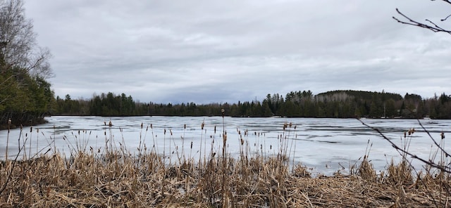 119 W Conroy Lake Rd, Monticello, ME 04760 - view of yard with a forest view and a water view