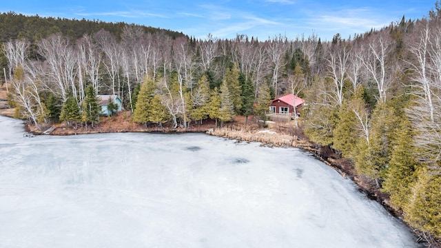 119 W Conroy Lake Rd, Monticello, ME 04760 - birds eye view of property with a forest view