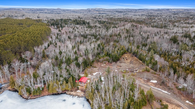 119 W Conroy Lake Rd, Monticello, ME 04760 - birds eye view of property with a view of trees