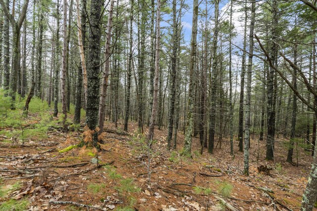 119 Pine Hill Rd, York, ME 03902