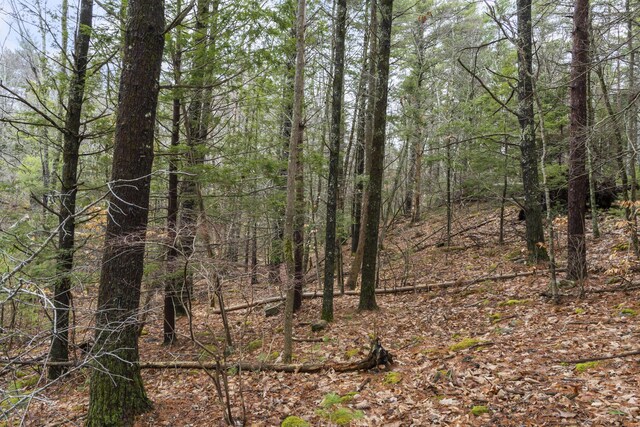 119 Pine Hill Rd, York, ME 03902