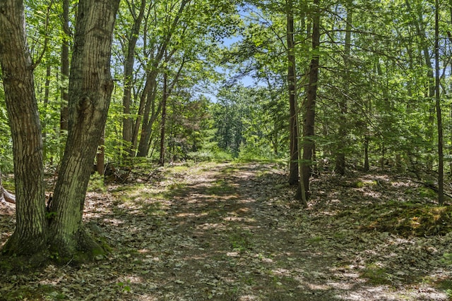 119 Pine Hill Rd, York, ME 03902 - photo 1