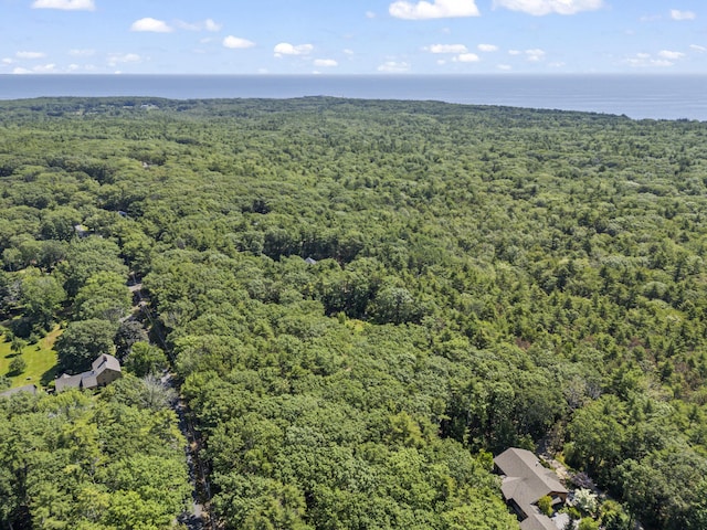 119 Pine Hill Rd, York, ME 03902 - photo 7