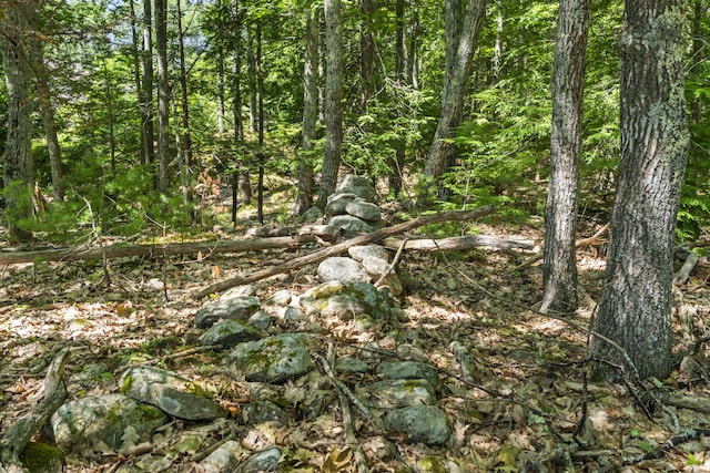 119 Pine Hill Rd, York, ME 03902 - photo 11