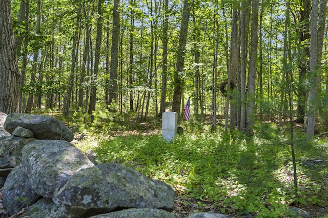 119 Pine Hill Rd, York, ME 03902 - photo 13