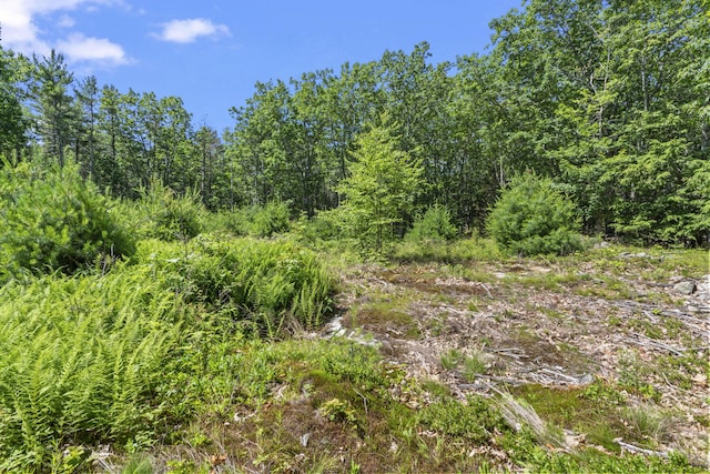 119 Pine Hill Rd, York, ME 03902 - photo 15
