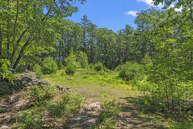 119 Pine Hill Rd, York, ME 03902 - photo 16