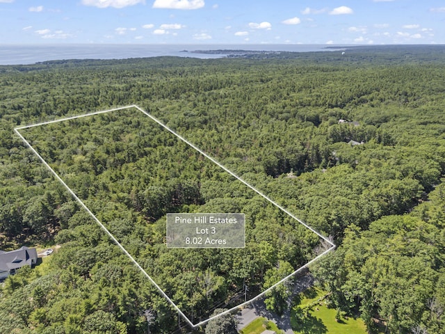 119 Pine Hill Rd, York, ME 03902 - photo 9