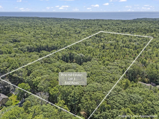 119 Pine Hill Rd, York, ME 03902 - photo 10