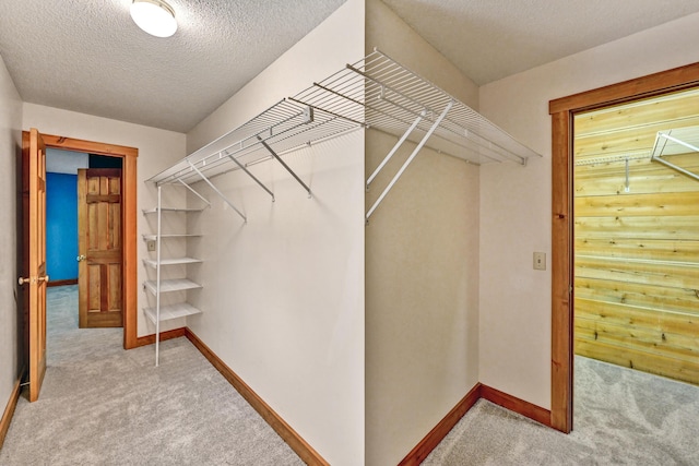 walk in closet with carpet floors