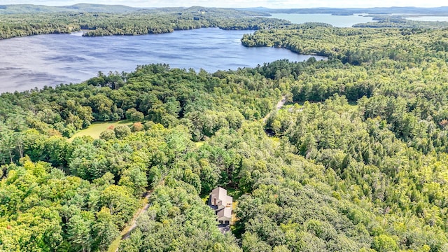 drone / aerial view featuring a water view and a forest view