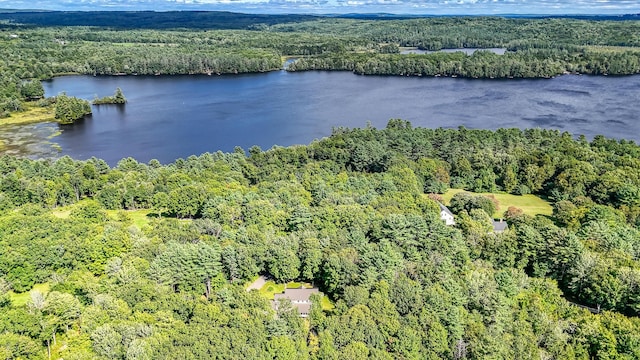 drone / aerial view featuring a forest view and a water view