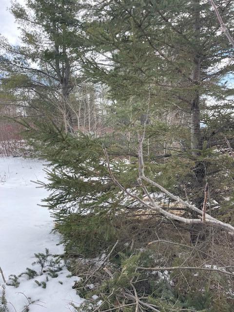 12A Golf Course Rd, Madawaska, ME 04773