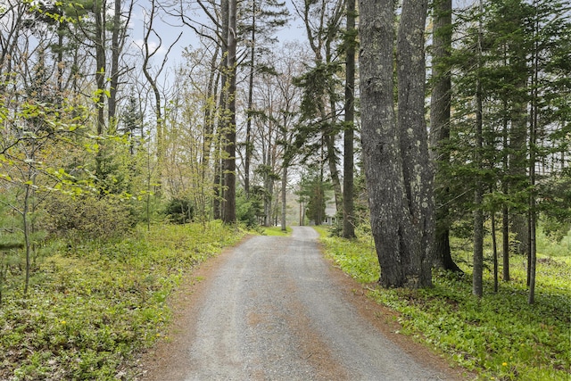 35 Barrows Rd, Boothbay Harbor, ME 04538 - view of road featuring a wooded view