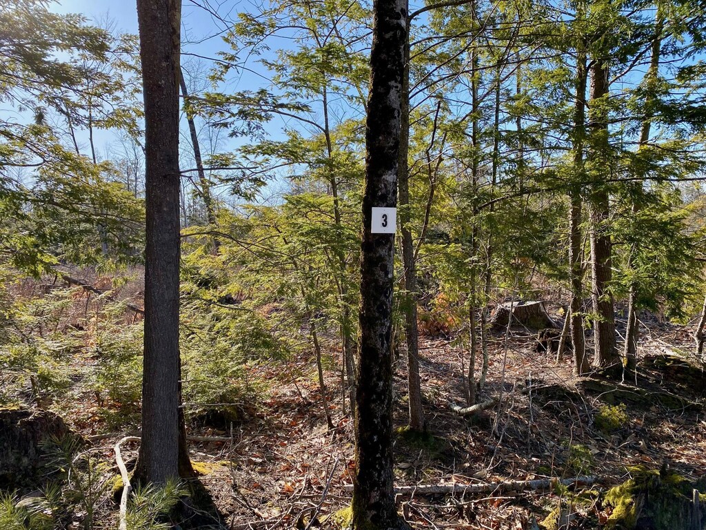 LOT3 Great Falls Rd, Gorham, ME 04038