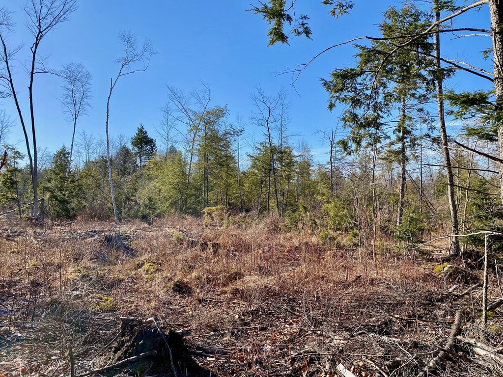 LOT3 Great Falls Rd, Gorham, ME 04038
