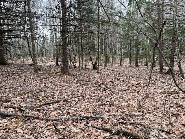 0 Kansas Rd, Milbridge, ME 04658