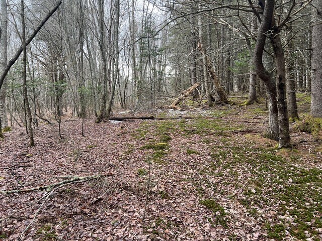 0 Kansas Rd, Milbridge, ME 04658