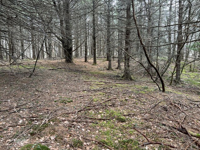 0 Kansas Rd, Milbridge, ME 04658