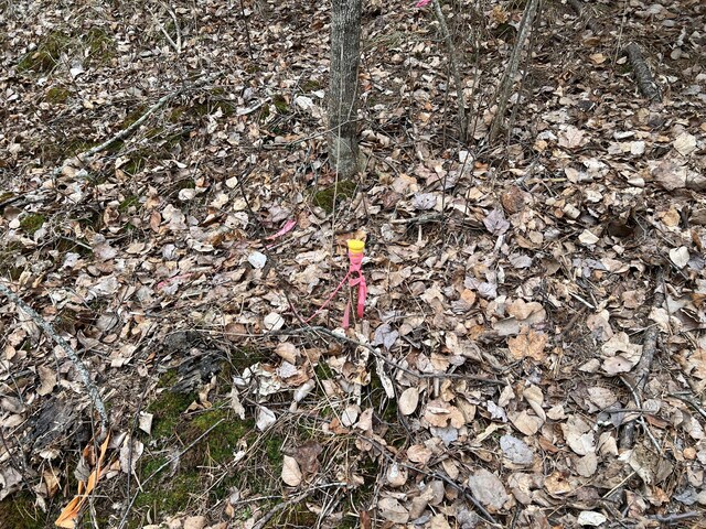 0 Kansas Rd, Milbridge, ME 04658