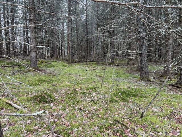 0 Kansas Rd, Milbridge, ME 04658