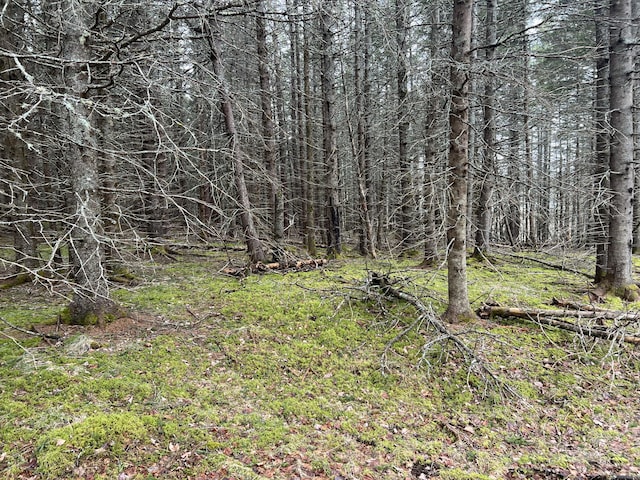 0 Kansas Rd, Milbridge, ME 04658