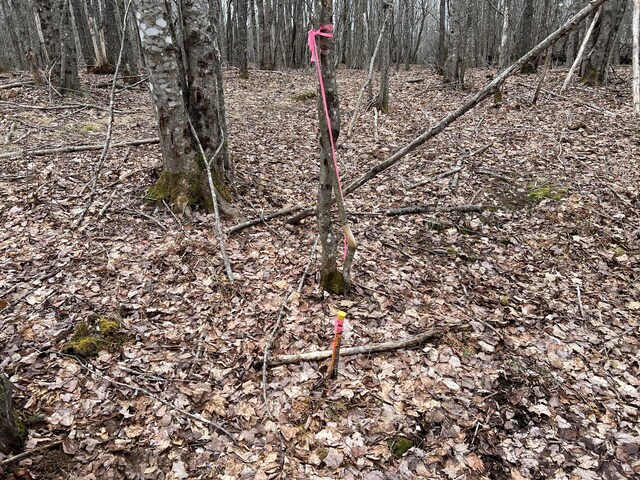 0 Kansas Rd, Milbridge, ME 04658