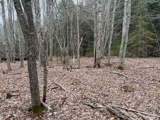 0 Kansas Rd, Milbridge, ME 04658