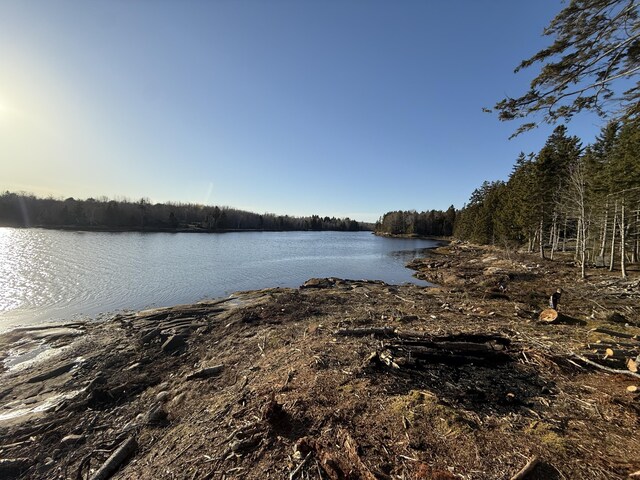 93 Goods Point Rd, Steuben, ME 04680 - property view of water
